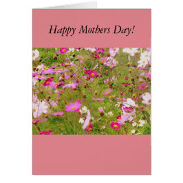 Bereich der rosa Blume