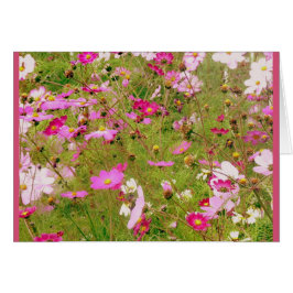 Bereich der rosa Blume