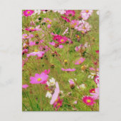 Bereich der rosa Blume Postkarte (Vorderseite)