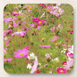 Bereich der rosa Blume Untersetzer