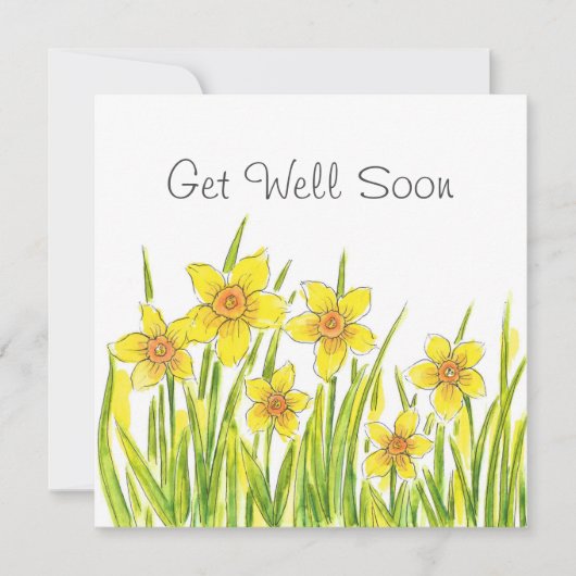 Bereich der Tierodien (Vorderseite)