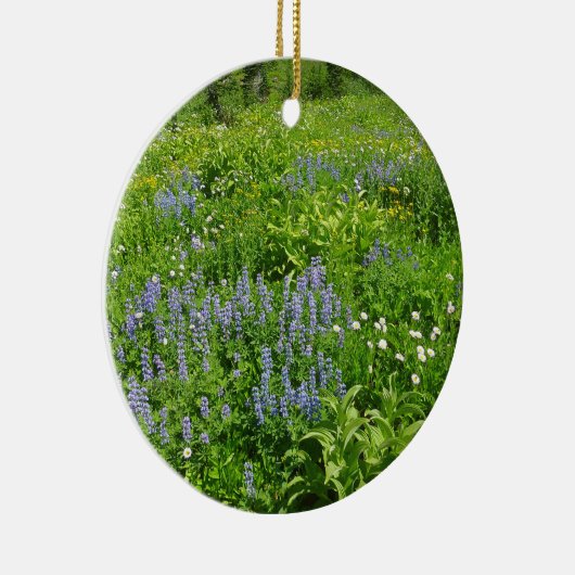 Bereich der Wildblumen auf dem Rainier Keramik Ornament (Rechts)