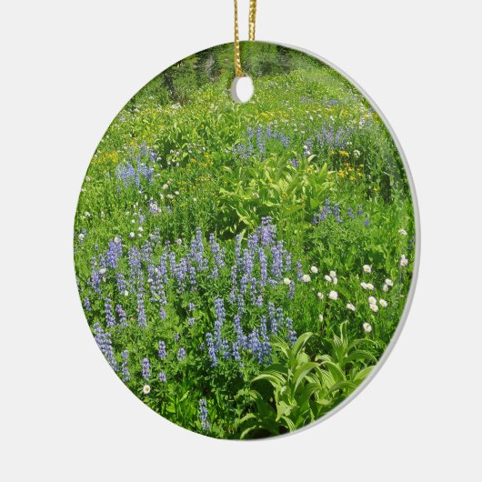 Bereich der Wildblumen auf dem Rainier Keramik Ornament (Links)