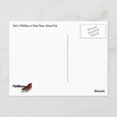 Bereich der Wildblumen auf dem Rainier Postkarte (Rückseite)