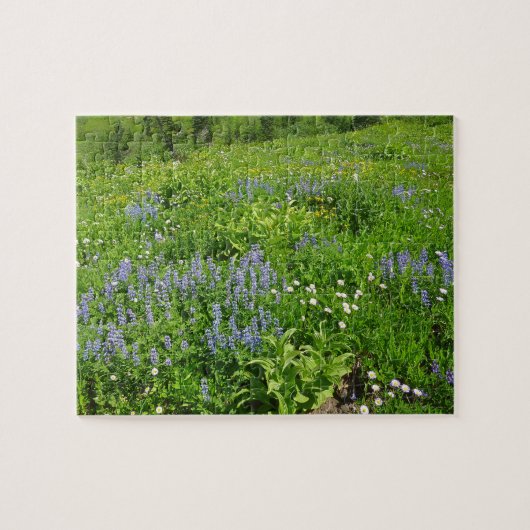 Bereich der Wildblumen auf dem Rainier Puzzle (Horizontal)
