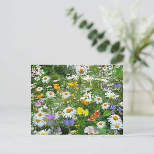 Bereich der Wildblumen Postkarte (Stehend Vorderseite)