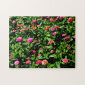 Bereich der Zinnia-Blume Orton-Wirkung Puzzle (Horizontal)