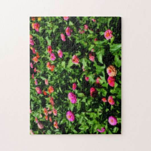 Bereich der Zinnia-Blume Orton-Wirkung Puzzle (Vertikal)