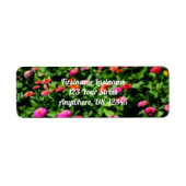 Bereich der Zinnias-Blume (Vorne)