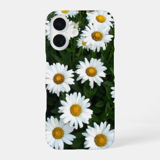 Bereich des iPhone Case 16 Hülle (Rückseite)