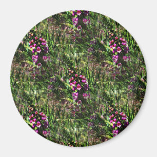 Bereich Foxglove Blume...... Magnet