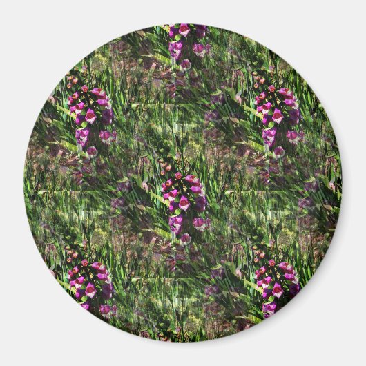 Bereich Foxglove Blume...... Magnet (Vorne)