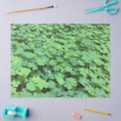 Bereich Kleeblattpapier Seidenpapier (Basteln)