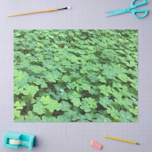 Bereich Kleeblattpapier Seidenpapier (Basteln)