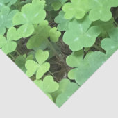 Bereich Kleeblattpapier Seidenpapier (Detail)