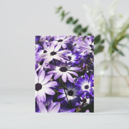 Bereich Lila Postkarte (Stehend Vorderseite)