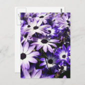 Bereich Lila Postkarte (Vorne/Hinten)