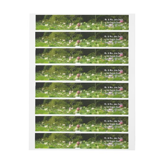 Bereich Lotus Blume Sommergarten (Bogen)