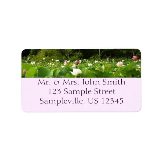 Bereich Lotus Blume Sommergarten Adressaufkleber (Vorne)