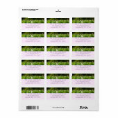 Bereich Lotus Blume Sommergarten Adressaufkleber (Vorne)