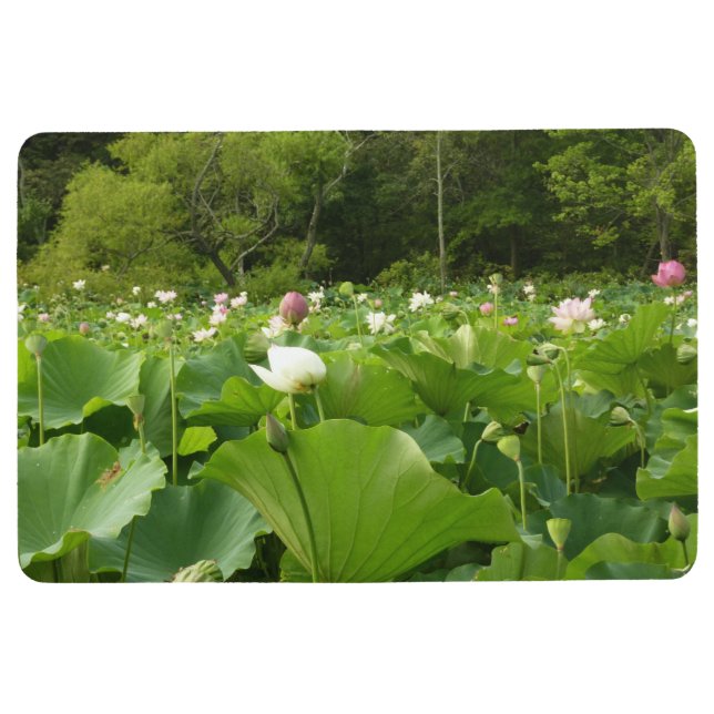 Bereich Lotus Blume Sommergarten Bodenmatte (Vorderseite)