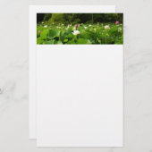 Bereich Lotus Blume Sommergarten Briefpapier (Vorne/Hinten)
