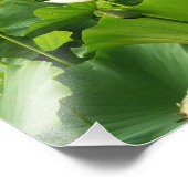 Bereich Lotus Blume Sommergarten Fotodruck (Ecke)