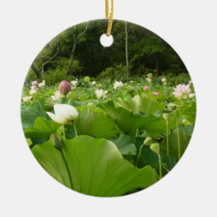 Bereich Lotus Blume Sommergarten Keramikornament