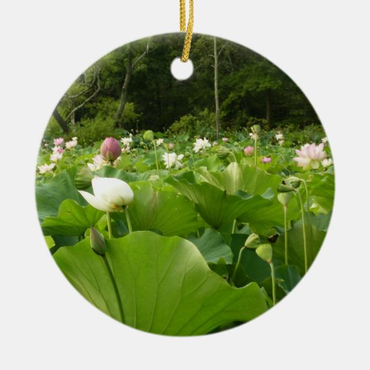 Bereich Lotus Blume Sommergarten Keramikornament (Vorne)