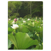 Bereich Lotus Blume Sommergarten Klemmbrett (Rückseite)