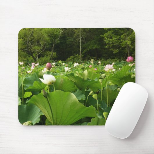 Bereich Lotus Blume Sommergarten Mousepad (Mit Mouse)