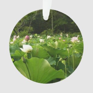Bereich Lotus Blume Sommergarten Ornament