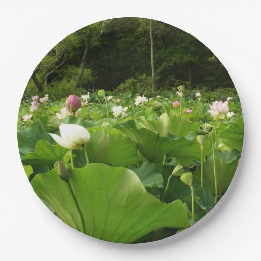Bereich Lotus Blume Sommergarten Pappteller (Vorderseite)
