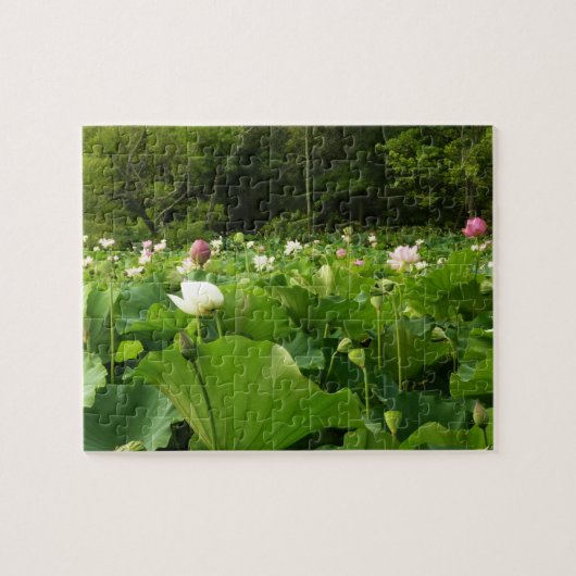 Bereich Lotus Blume Sommergarten Puzzle (Horizontal)