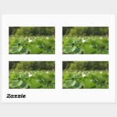 Bereich Lotus Blume Sommergarten Rechteckiger Aufkleber (Blatt)