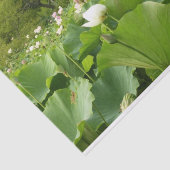 Bereich Lotus Blume Sommergarten Seidenpapier (Ausschnitt)