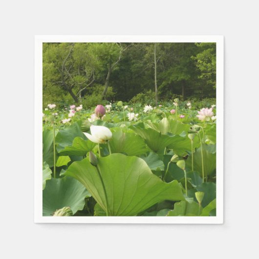 Bereich Lotus Blume Sommergarten Serviette (Vorderseite)