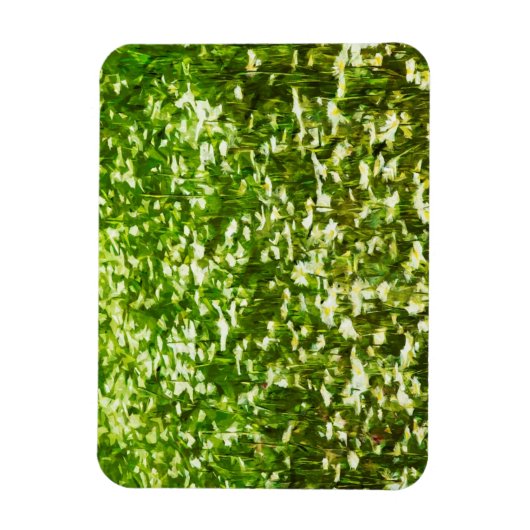 Bereich Oxeye Daisies Abstrakter Impressionismus Magnet (Vertikal)