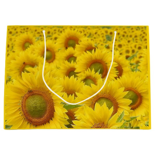 Bereich Sonnenblumen Design Geschenktasche Große Geschenktüte (Vorderseite)