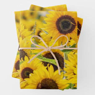 Bereich Sonnenblumen Design Umhüllungspapier Geschenkpapier Set