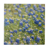 Bereich Texas Bluebonnets Malen Fliese (Vorderseite)