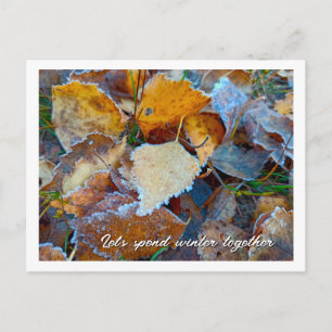 Bereifte Herbstblätter Custom Postkarte