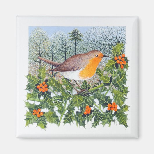 Bereinigung Magnet (Vorne)