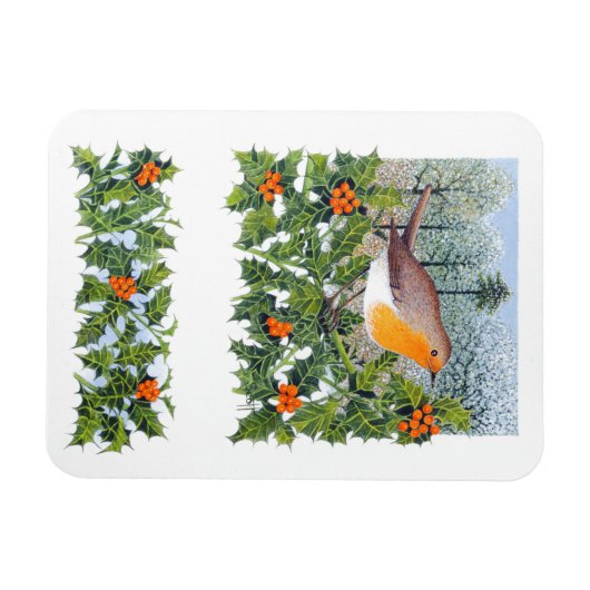 Bereinigung Magnet (Horizontal)