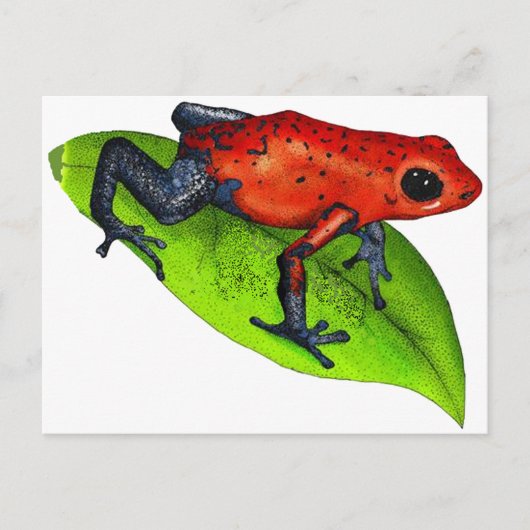 BEREIT AUF JUMP POSTKARTE (Vorderseite)