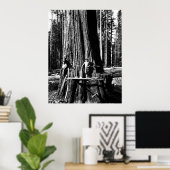 BEREIT, EINEN GIANTEN SEQUOIEN c. 1888 Poster (Heimbüro)