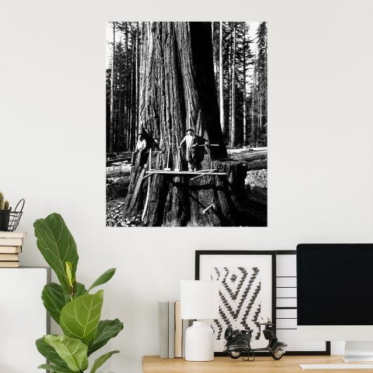 BEREIT, EINEN GIANTEN SEQUOIEN c. 1888 Poster (Heimbüro)