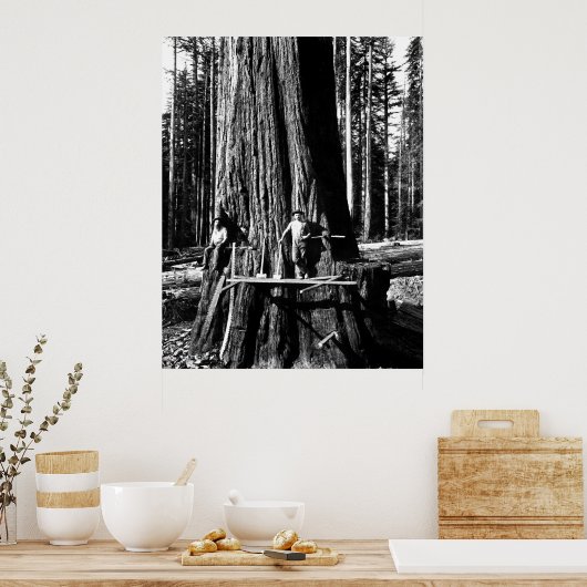 BEREIT, EINEN GIANTEN SEQUOIEN c. 1888 Poster (Küche)