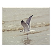 Bereit für das Foto (Vorne)