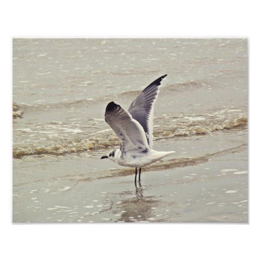 Bereit für das Foto (Vorne)